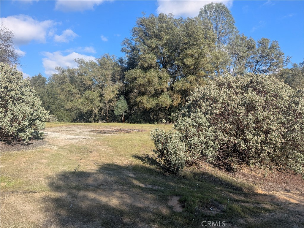 4181 Burl Property Photo 24