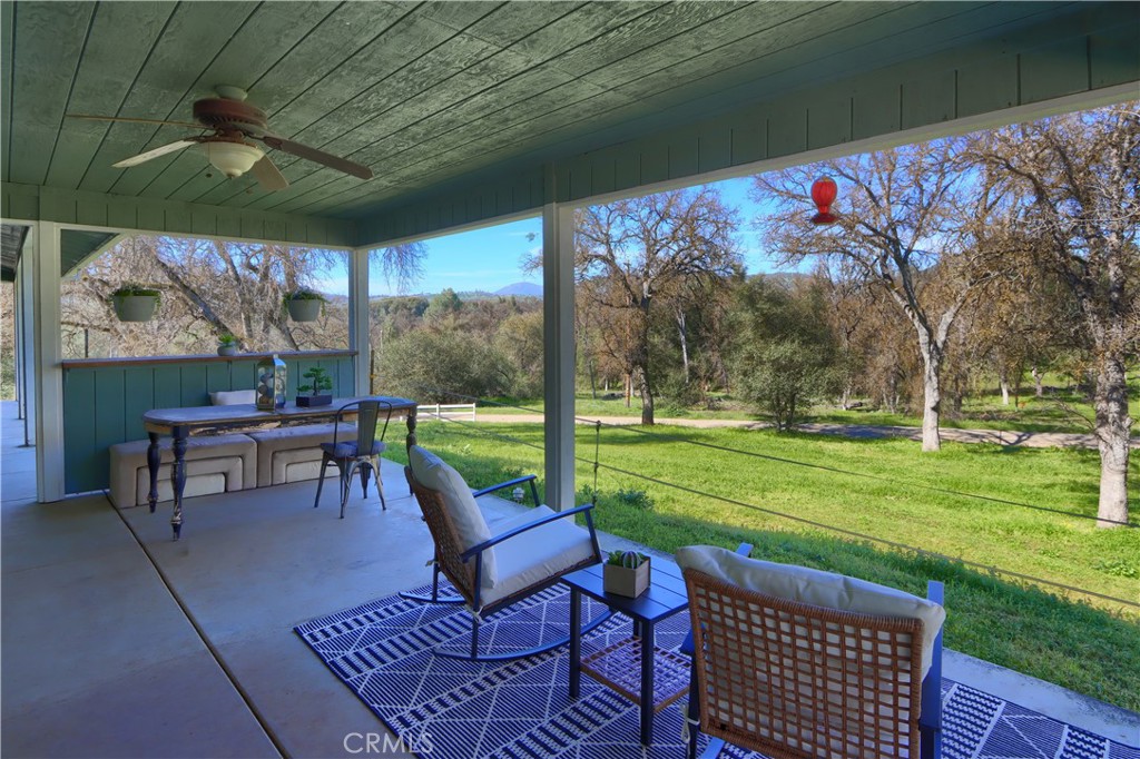 4421 Scrubby Oak Property Photo 3