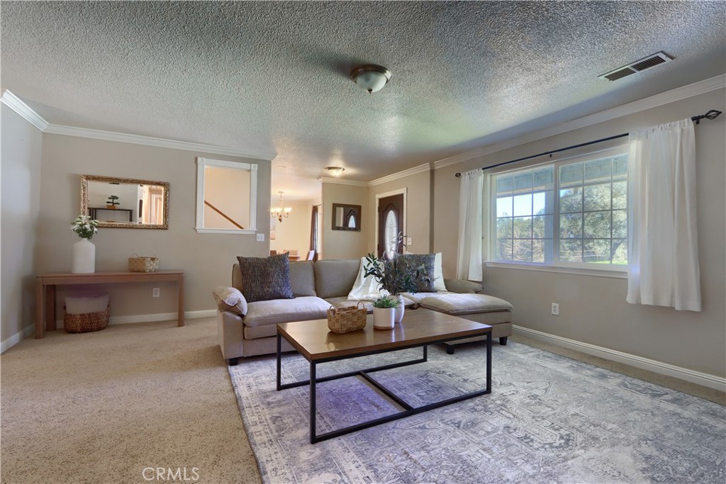 4421 Scrubby Oak Property Photo 8