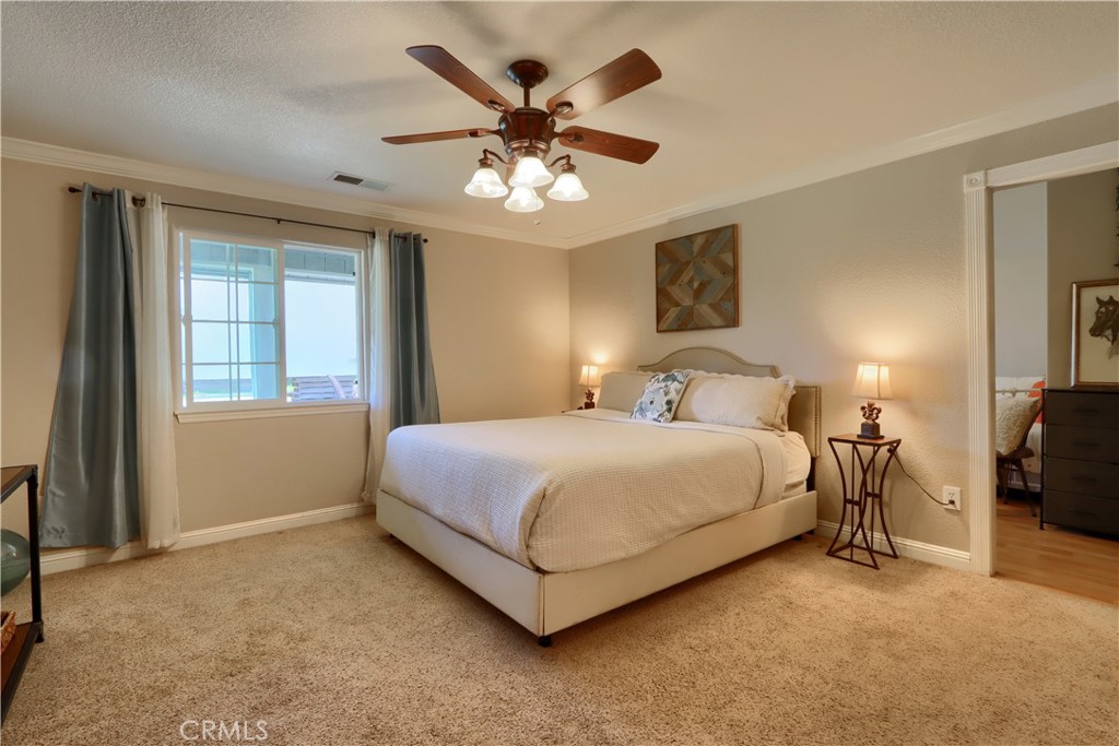 4421 Scrubby Oak Property Photo 11