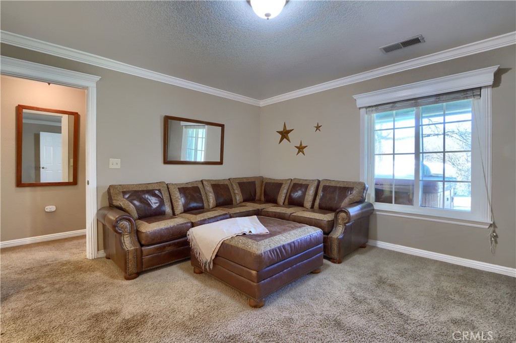 4421 Scrubby Oak Property Photo 29