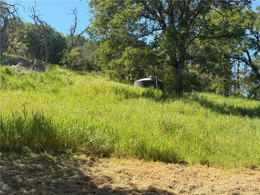 2877 Trower Property Photo 68