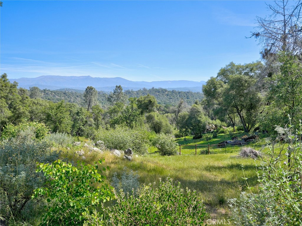 3954 Silver Bar Property Photo 39