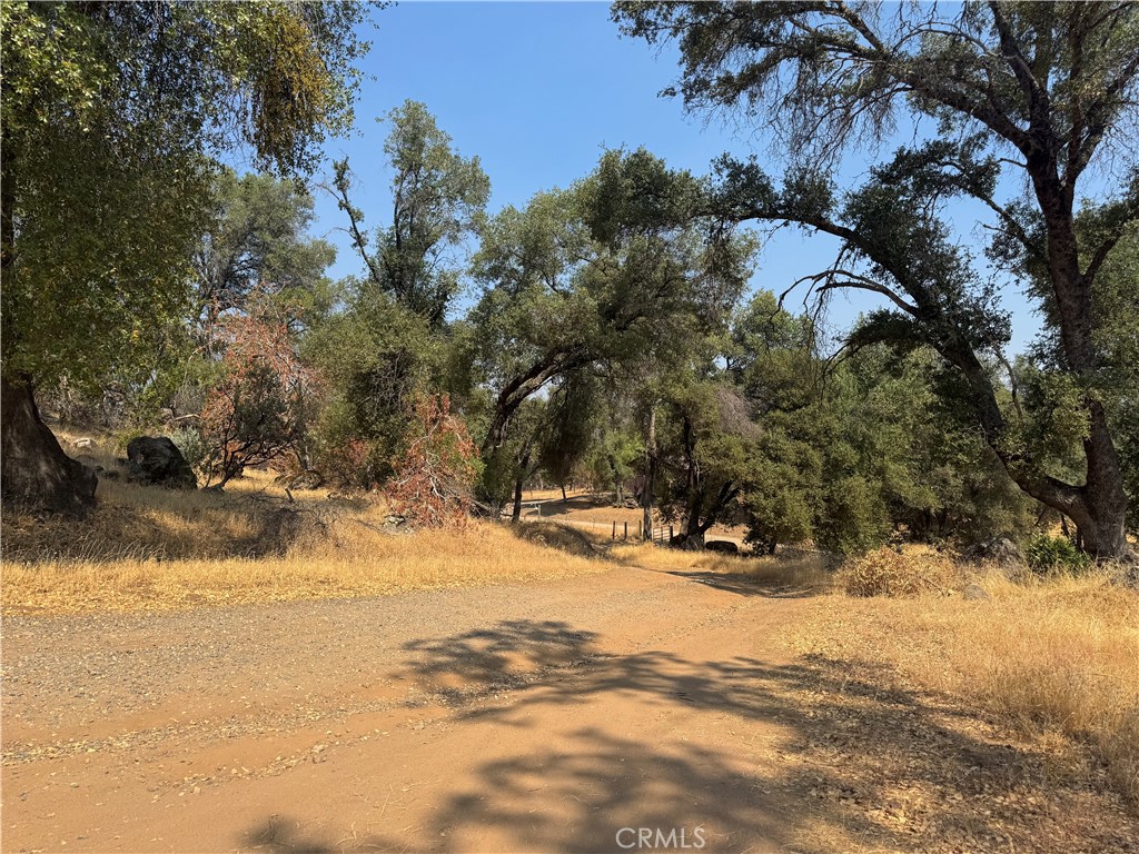 5393 Schafer Rd Property Photo 12