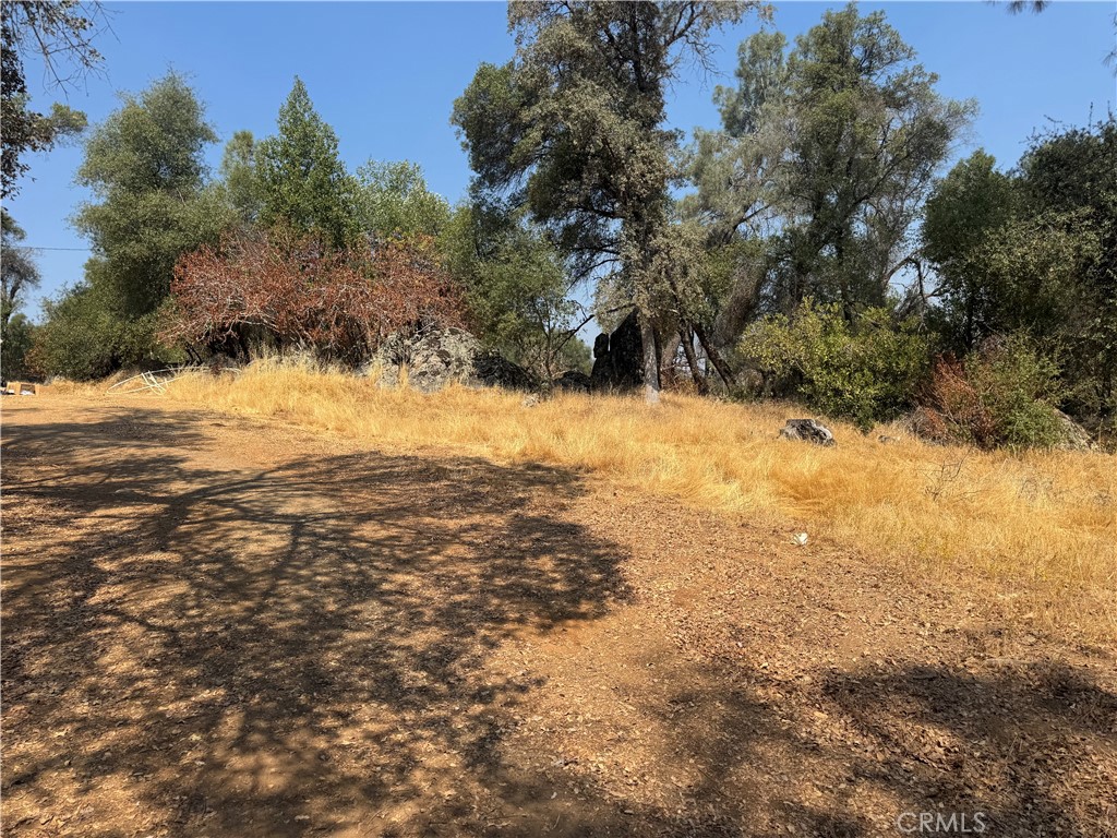 5393 Schafer Rd Property Photo 19