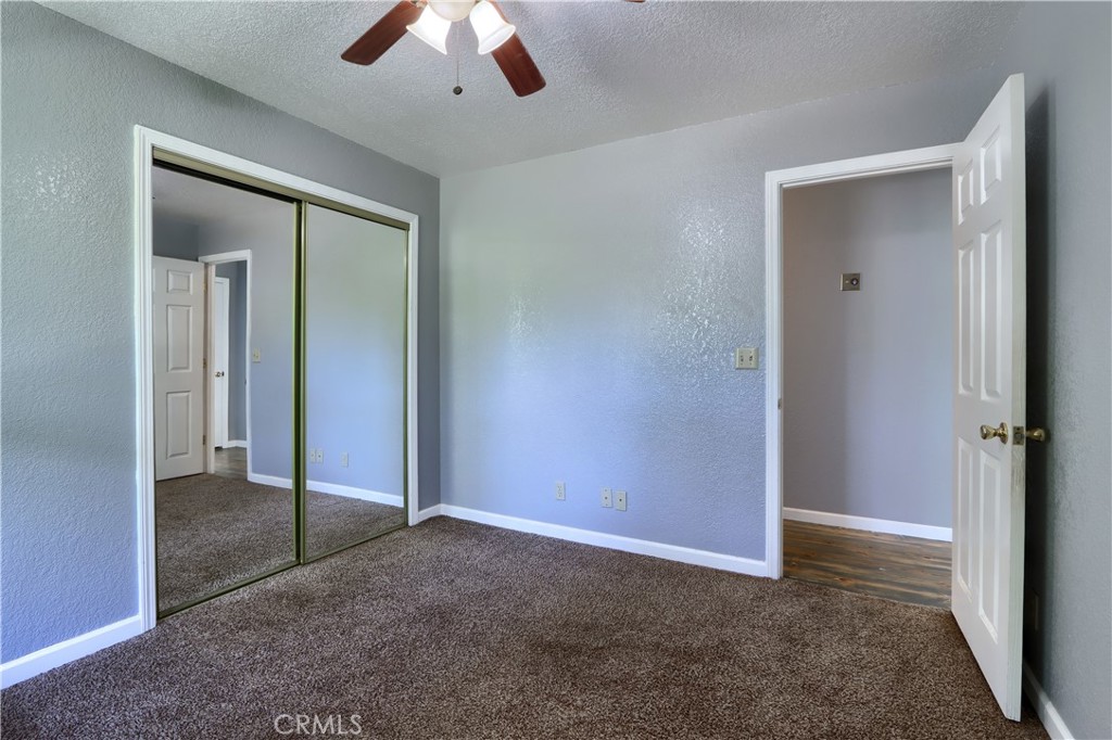 4907 Daffodil Dr Property Photo 31