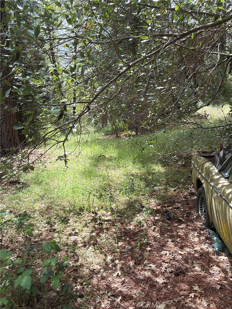 39 Anderson Valley Road Property Photo 3