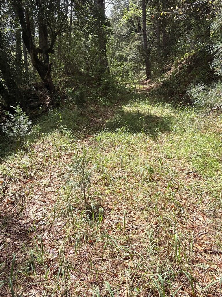 39 Anderson Valley Road Property Photo 4