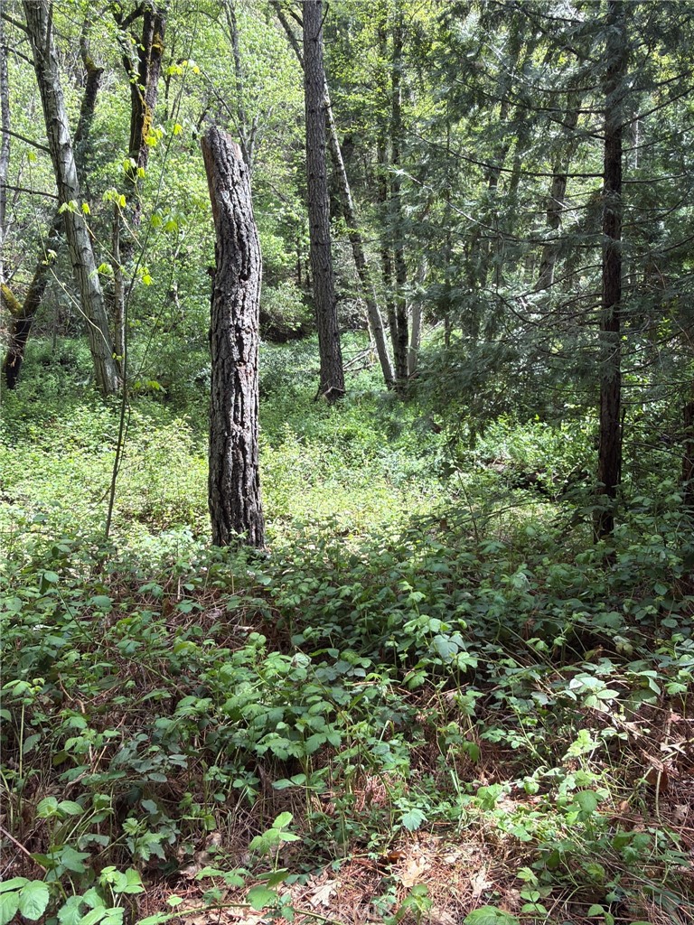 39 Anderson Valley Road Property Photo 6