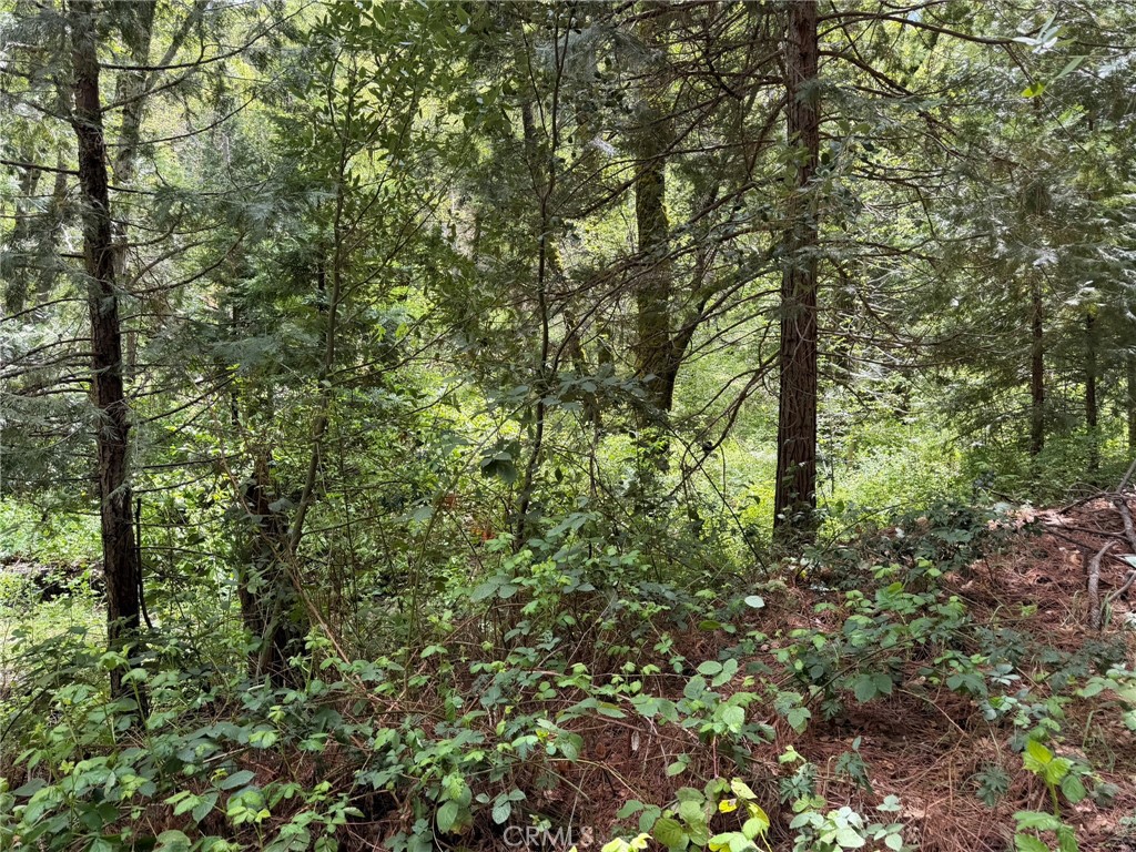 39 Anderson Valley Road Property Photo 7