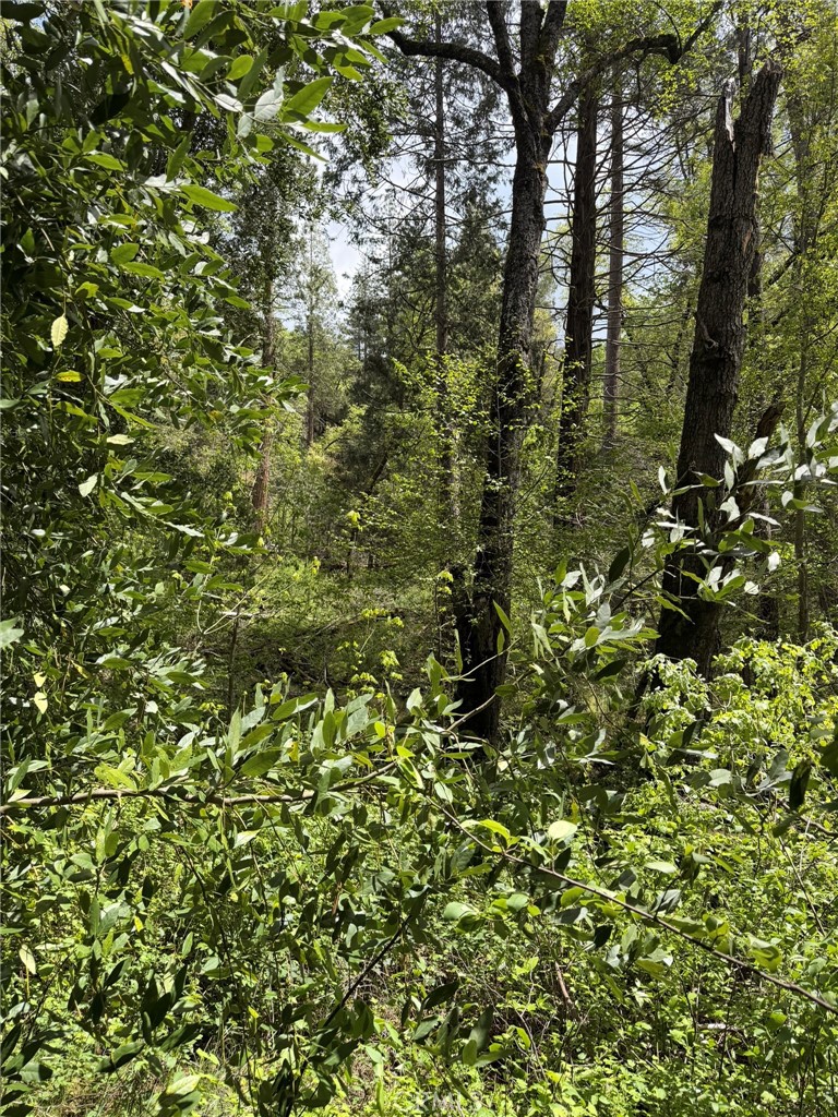 39 Anderson Valley Road Property Photo 13
