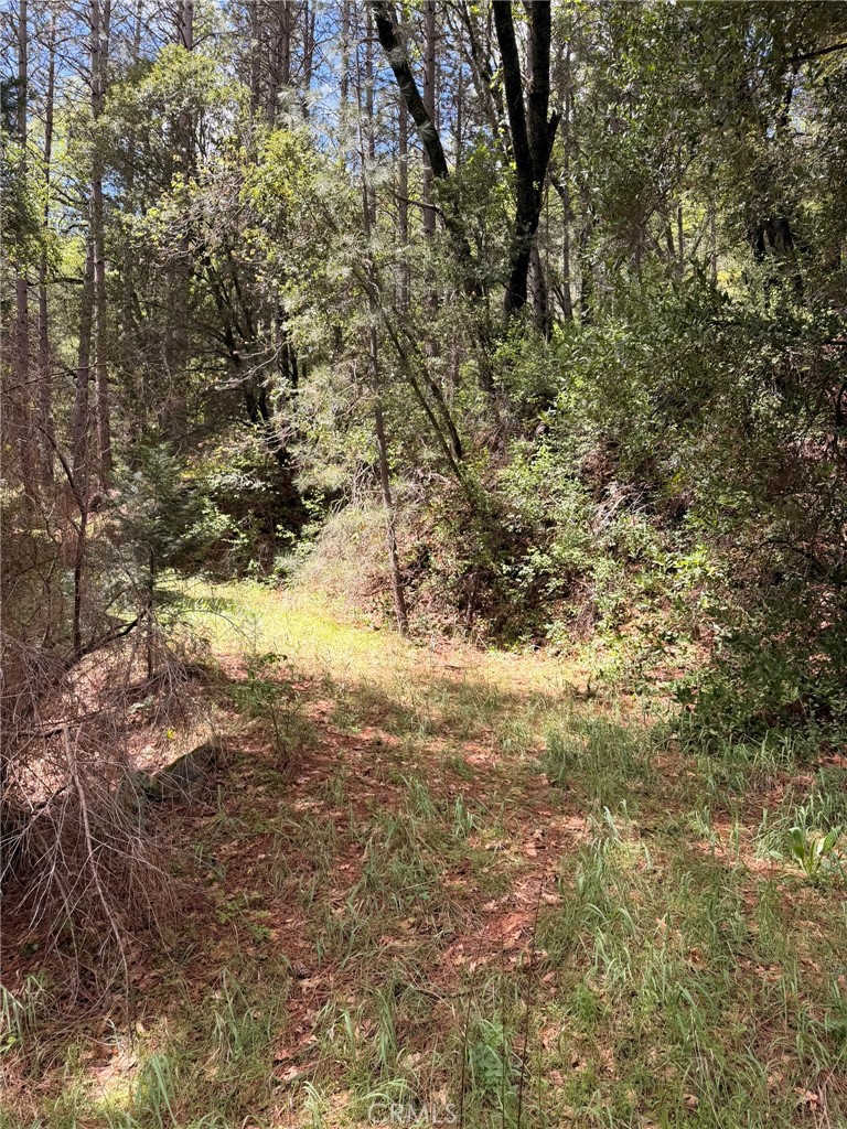 39 Anderson Valley Road Property Photo 14