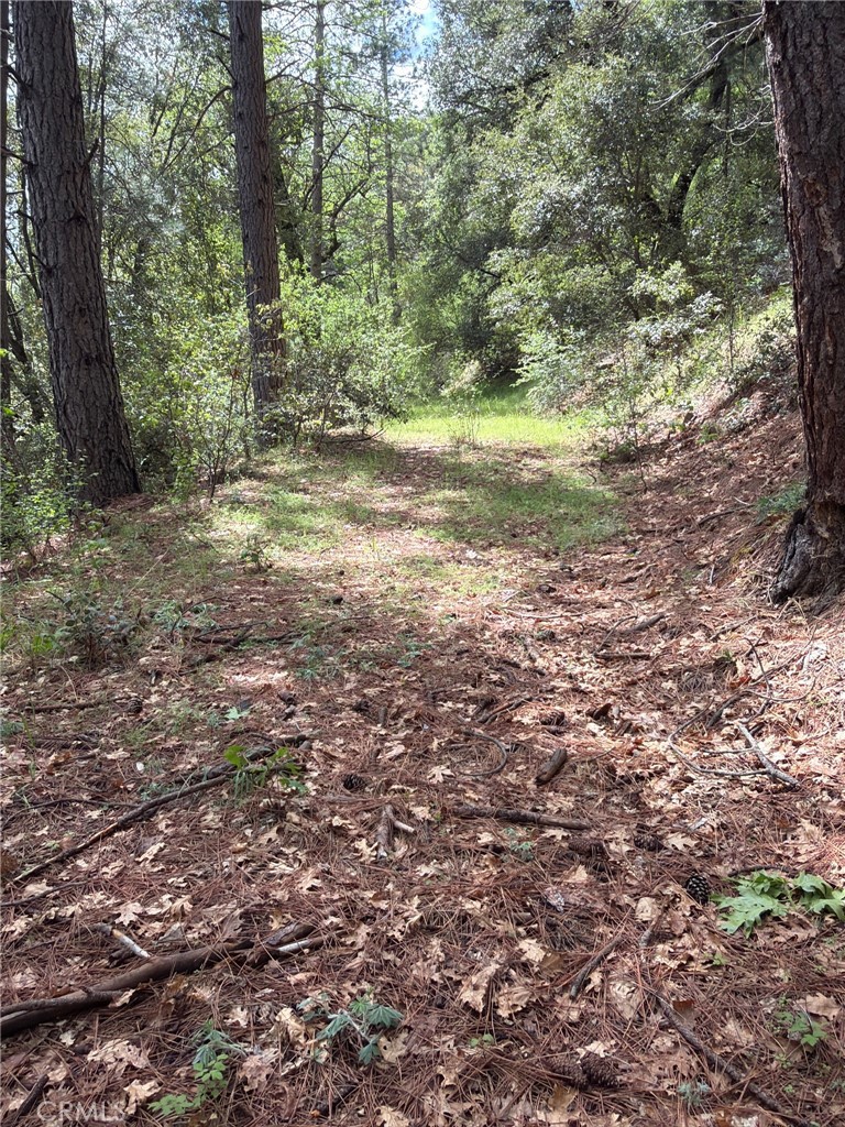 39 Anderson Valley Road Property Photo 16