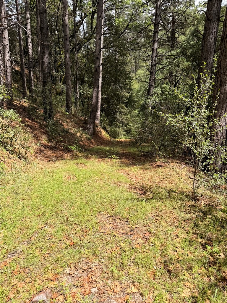 39 Anderson Valley Road Property Photo 17