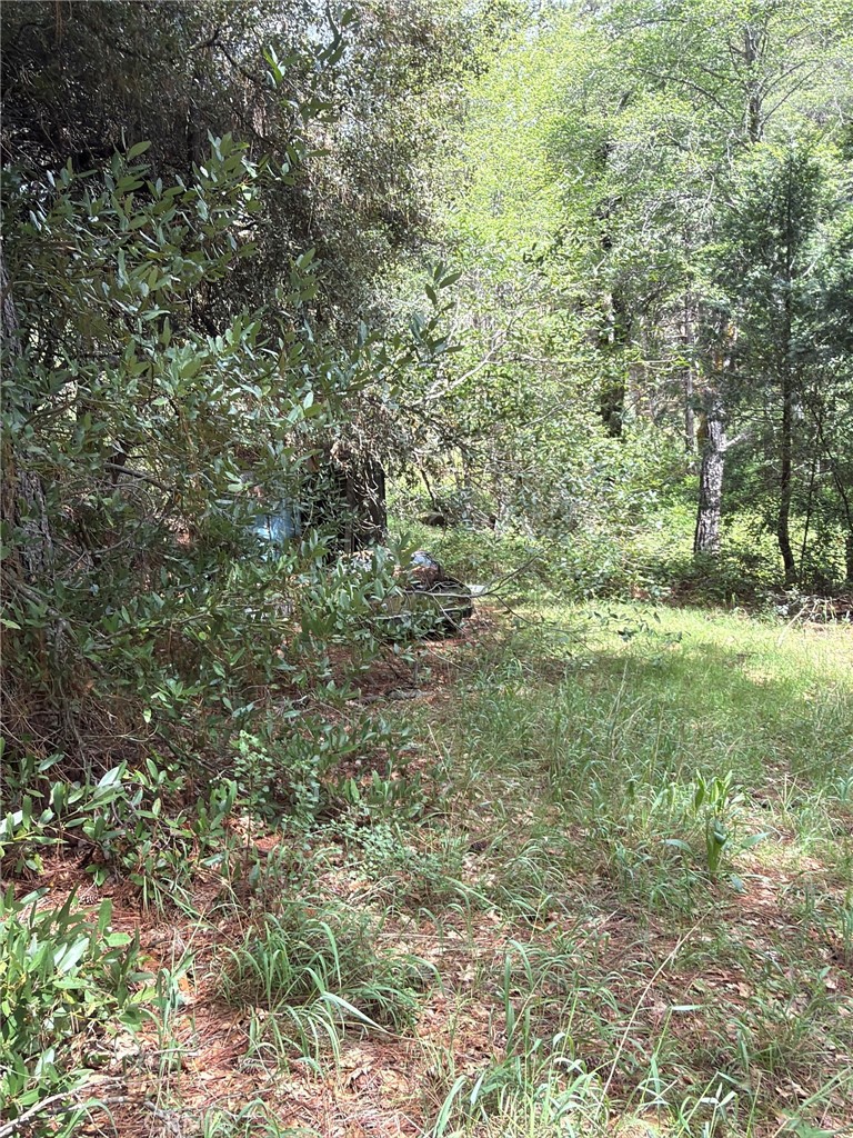 39 Anderson Valley Road Property Photo 18