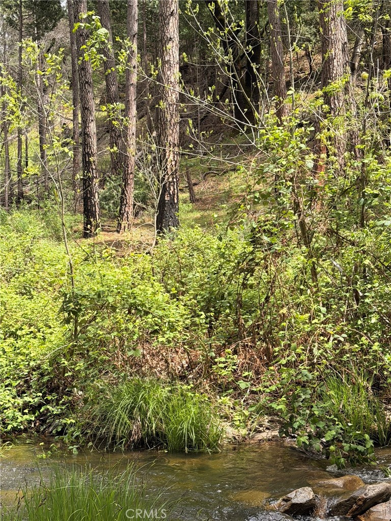 39 Anderson Valley Road Property Photo 19