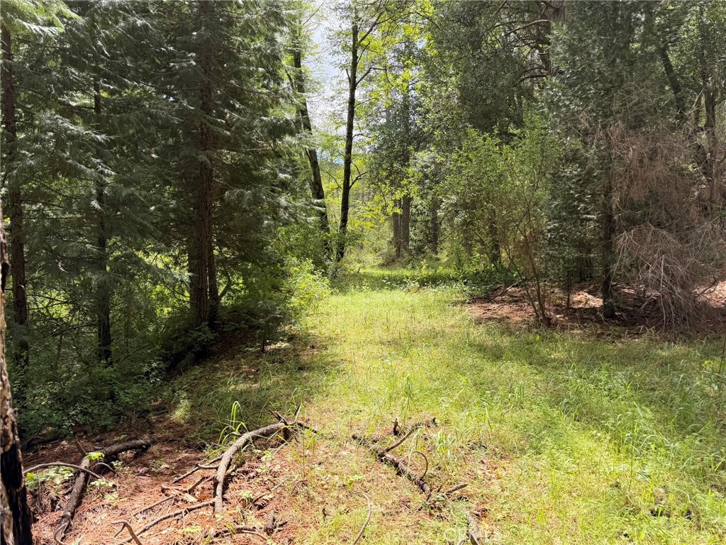 39 Anderson Valley Road Property Photo 20