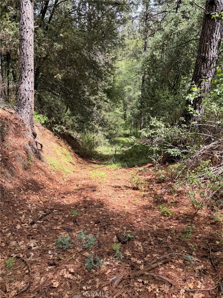 39 Anderson Valley Road Property Photo 21