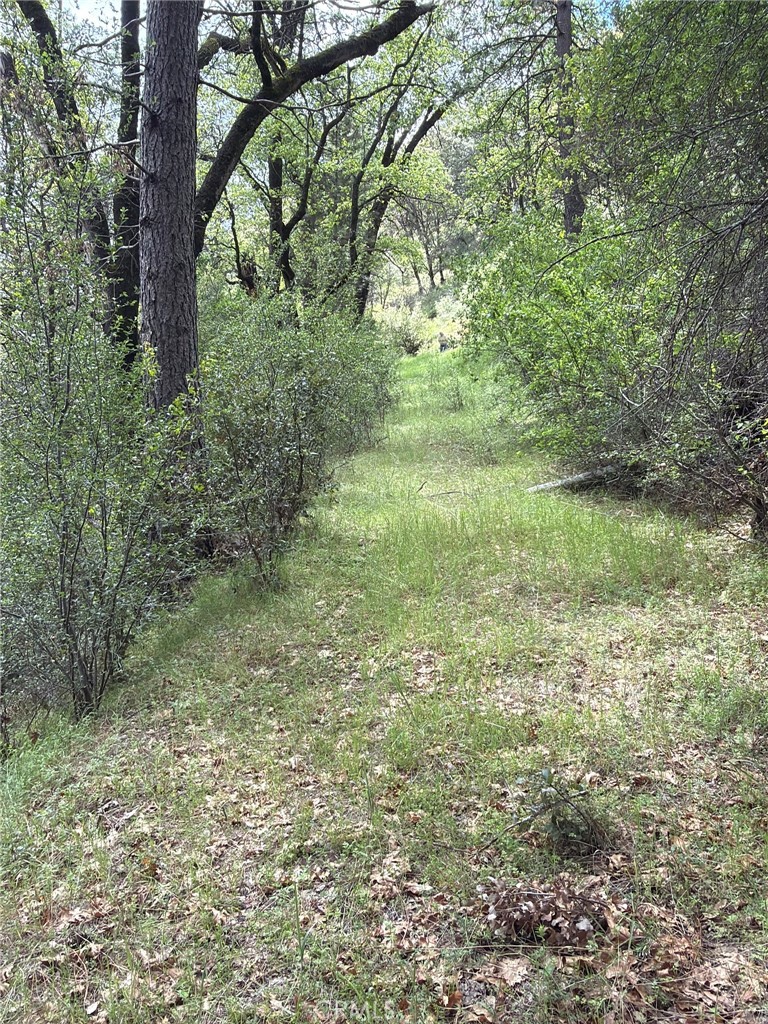39 Anderson Valley Road Property Photo 23
