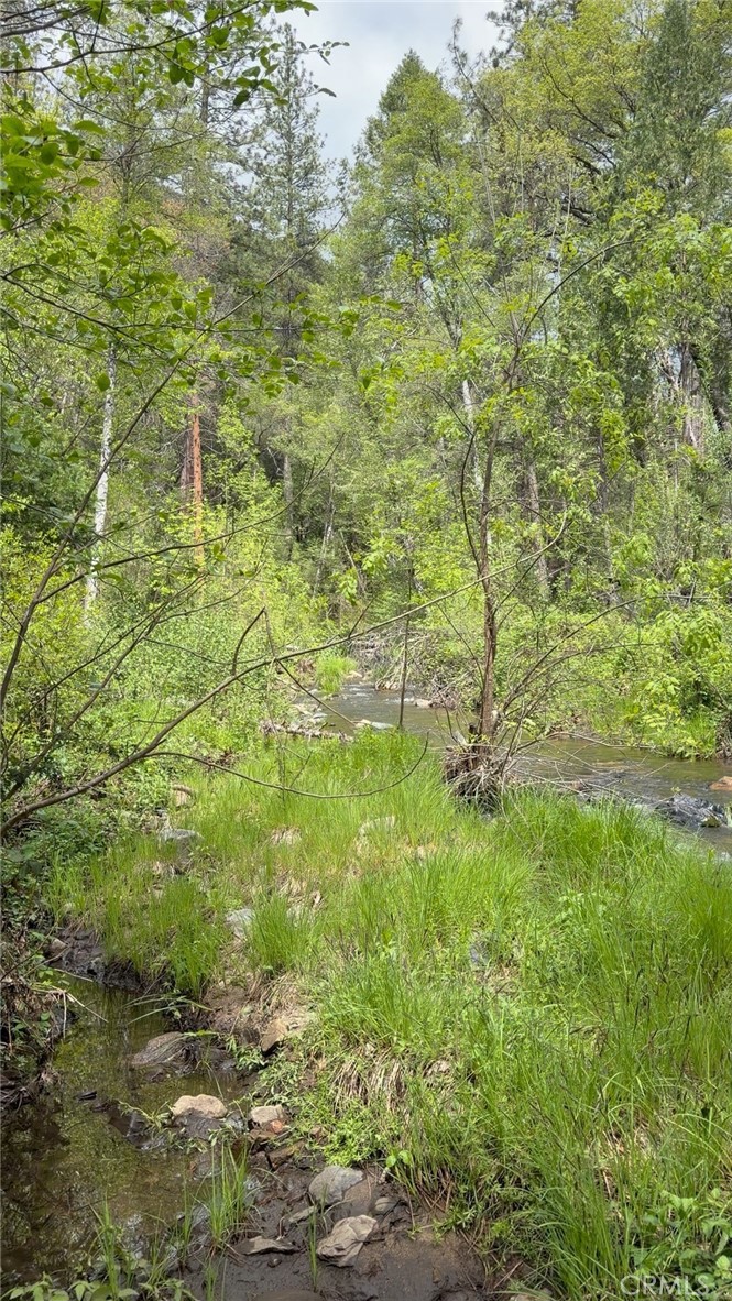 39 Anderson Valley Road Property Photo 24