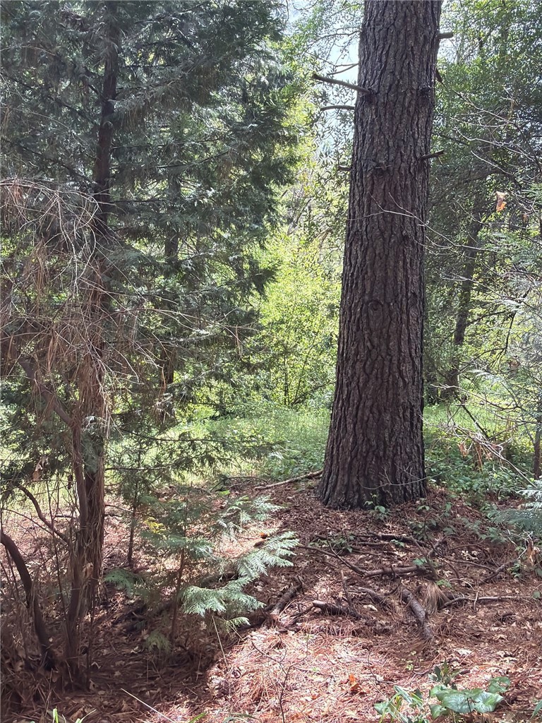 39 Anderson Valley Road Property Photo 26