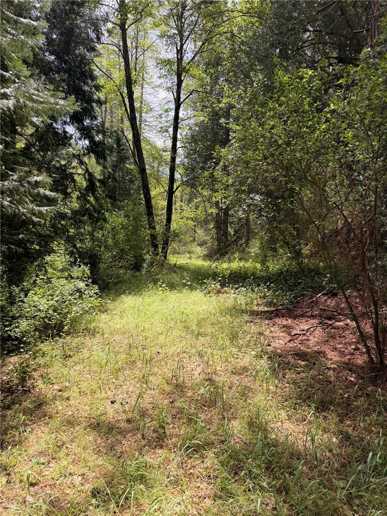39 Anderson Valley Road Property Photo 27