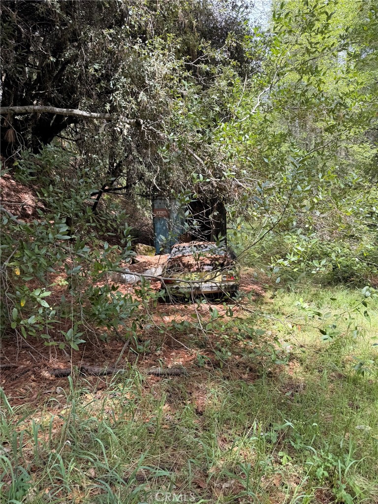 39 Anderson Valley Road Property Photo 28