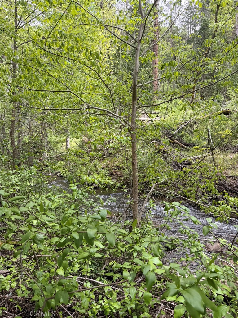 39 Anderson Valley Road Property Photo 30