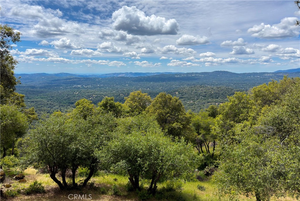 5603 Clouds Rest Road Property Photo 47
