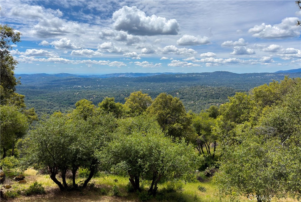 5603 Clouds Rest Road Property Photo 47