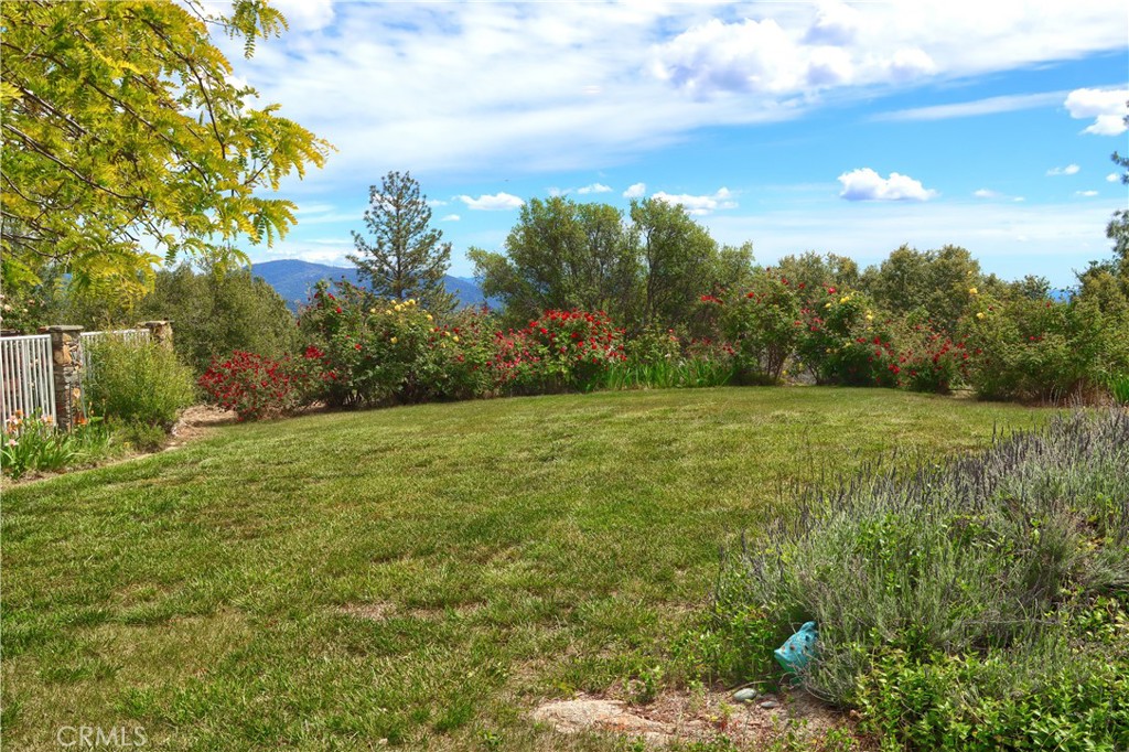 5603 Clouds Rest Road Property Photo 54