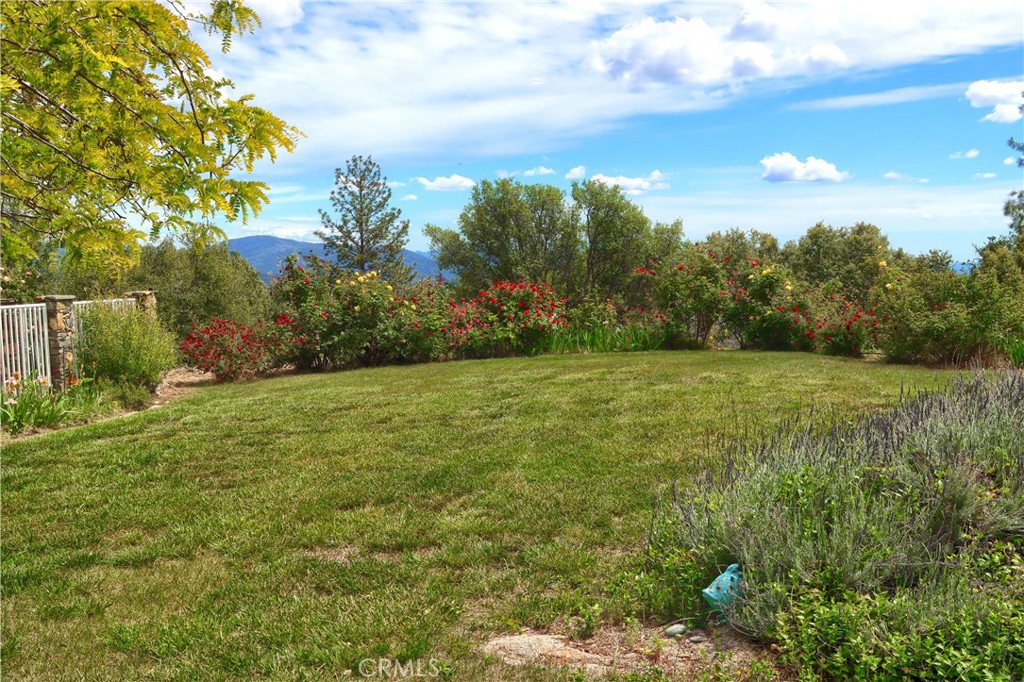 5603 Clouds Rest Road Property Photo 54