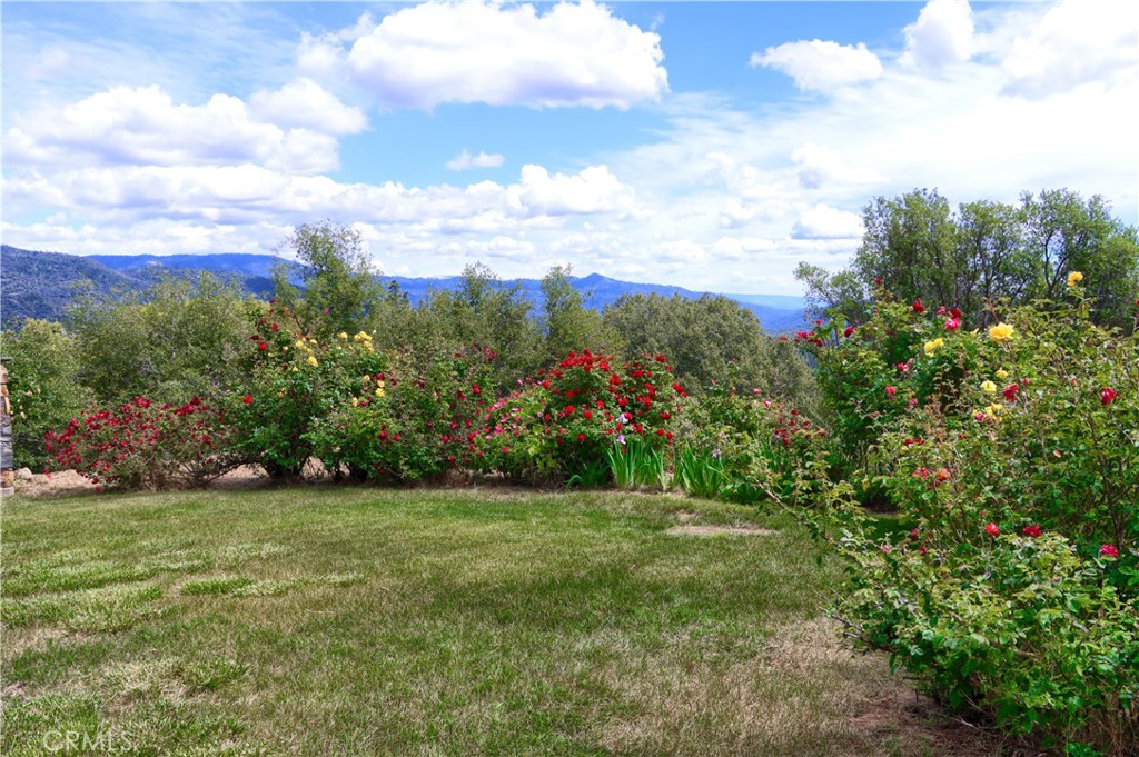 5603 Clouds Rest Road Property Photo 55