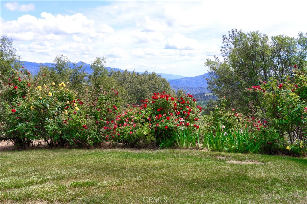 5603 Clouds Rest Road Property Photo 56