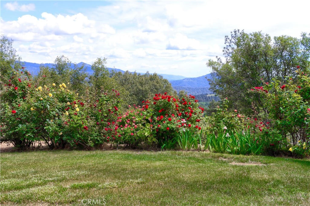 5603 Clouds Rest Road Property Photo 56