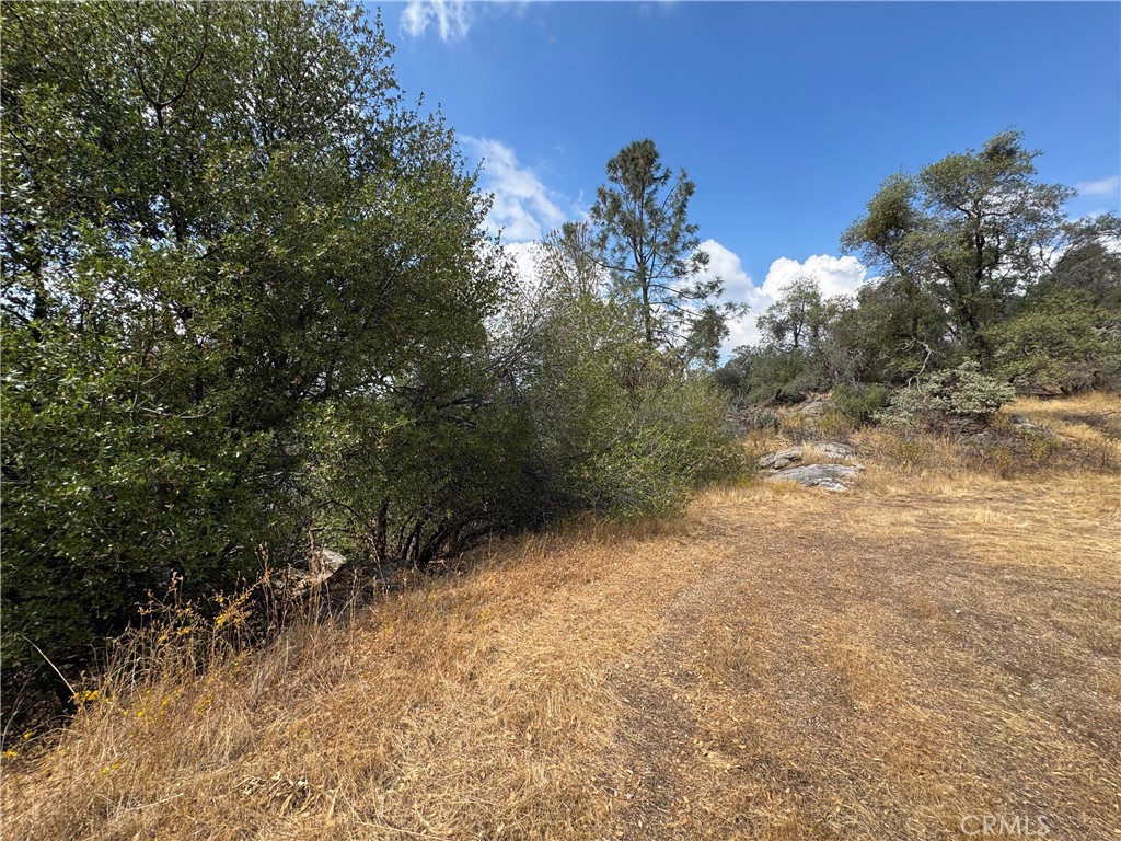 2 Ac Summerhill Ln Property Photo 13