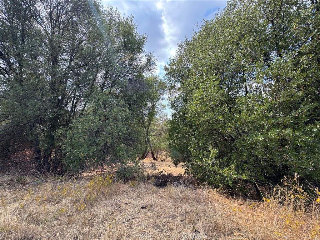 2 Ac Summerhill Ln Property Photo 14