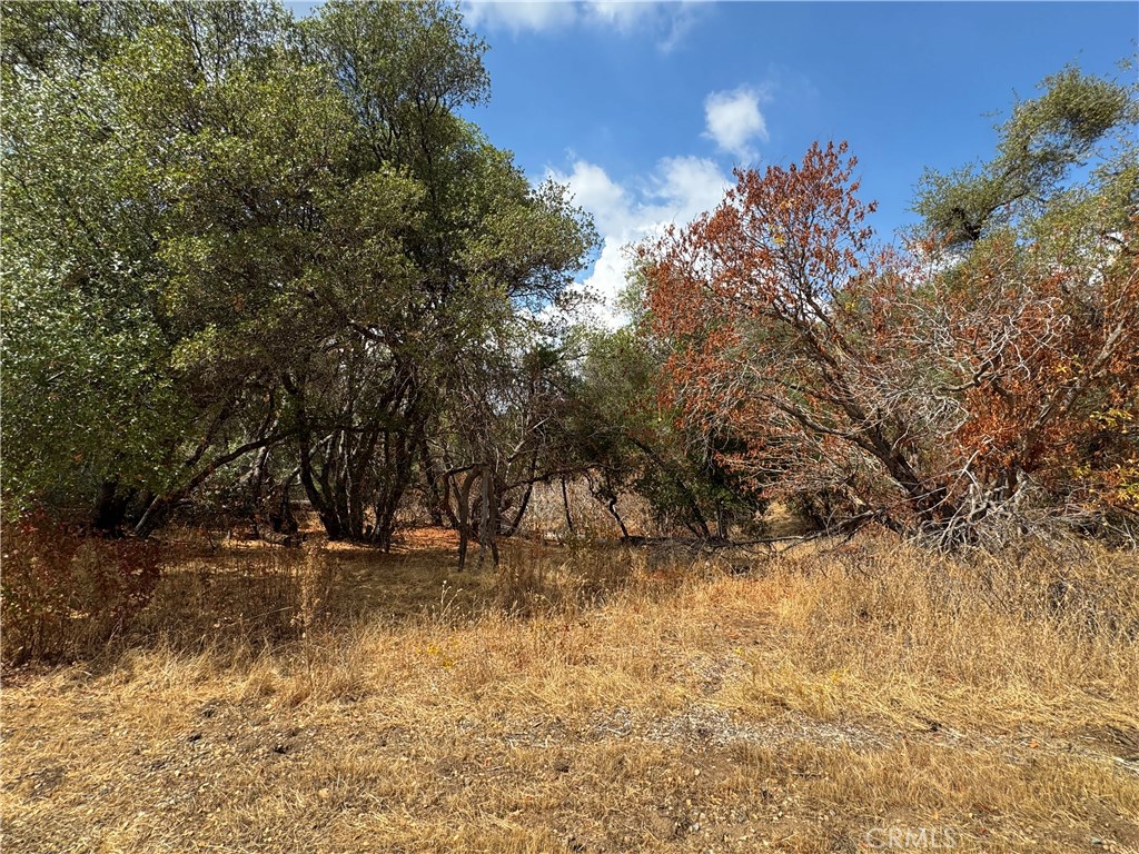 2 Ac Summerhill Ln Property Photo 15