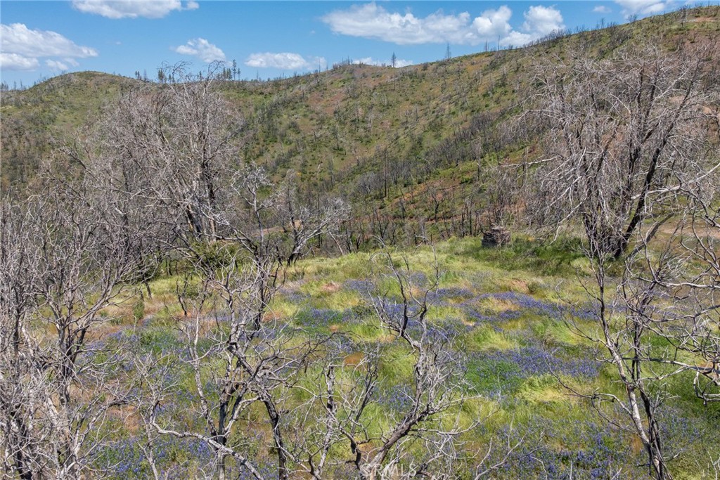 39 Acres Buckingham Mountain Road Property Photo 3