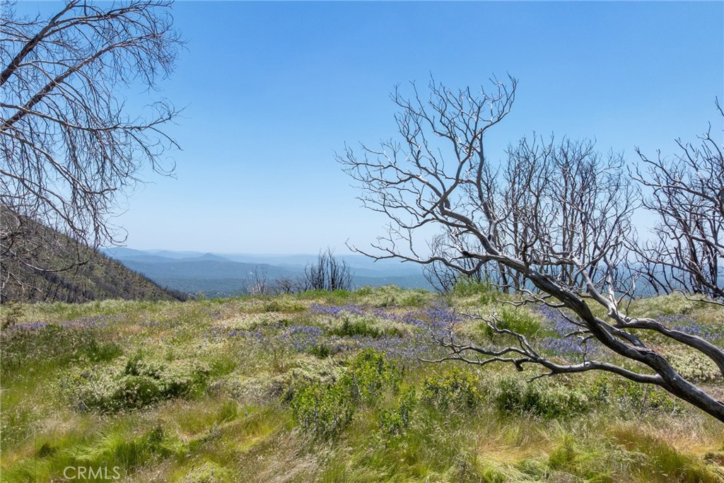 39 Acres Buckingham Mountain Road Property Photo 5