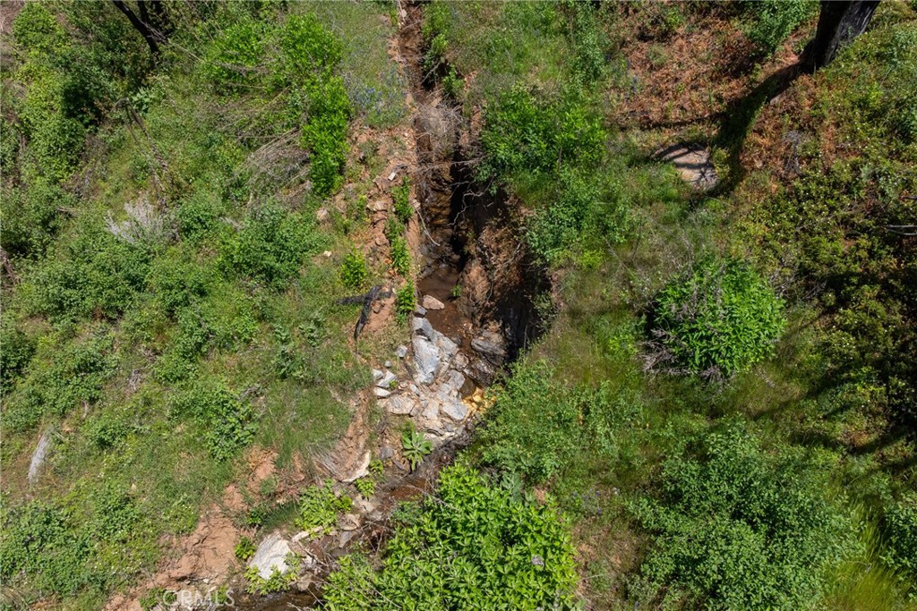 39 Acres Buckingham Mountain Road Property Photo 6