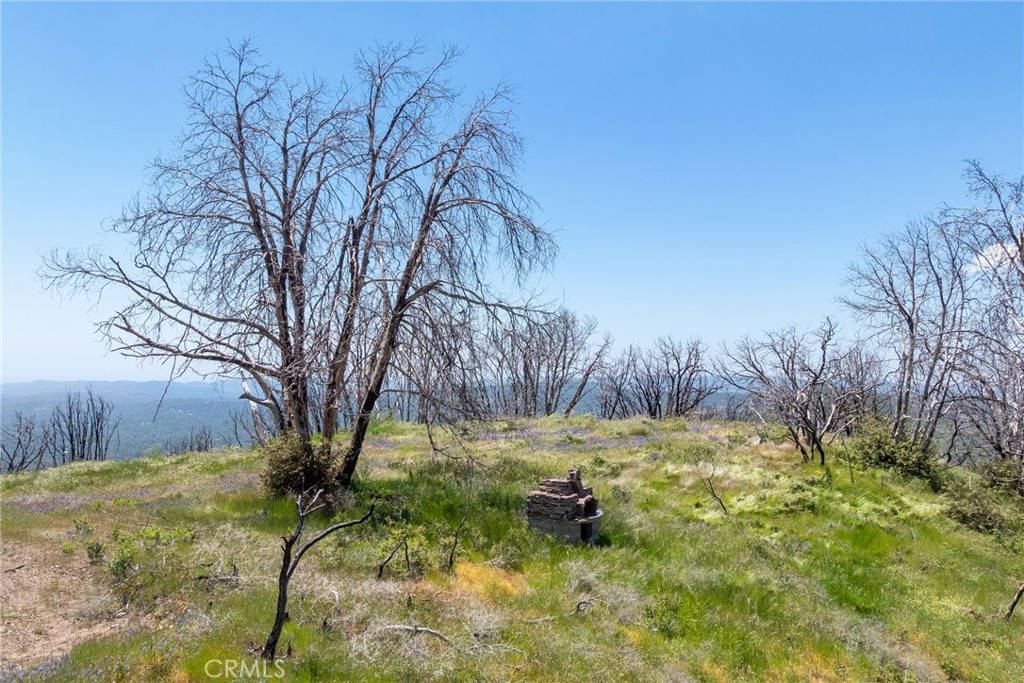 39 Acres Buckingham Mountain Road Property Photo 11