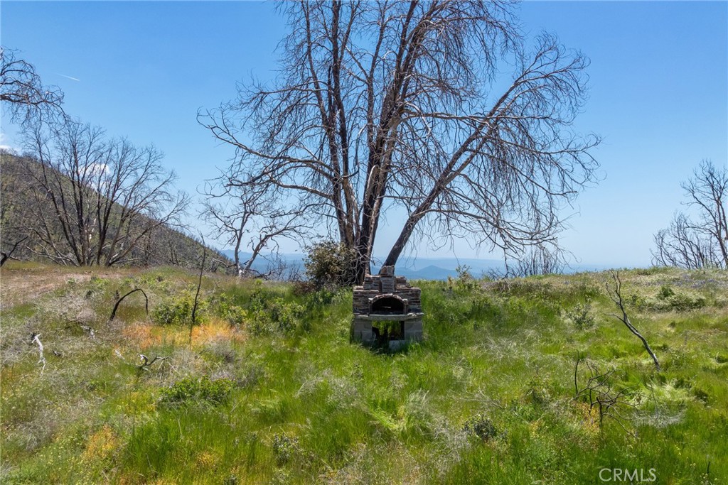 39 Acres Buckingham Mountain Road Property Photo 12