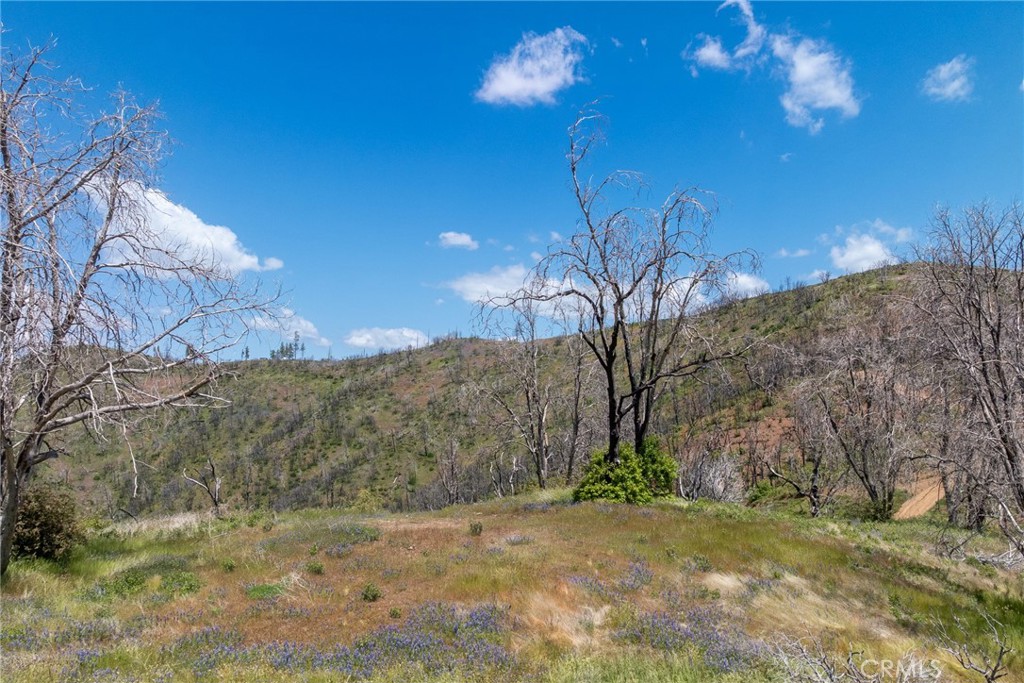 39 Acres Buckingham Mountain Road Property Photo 16