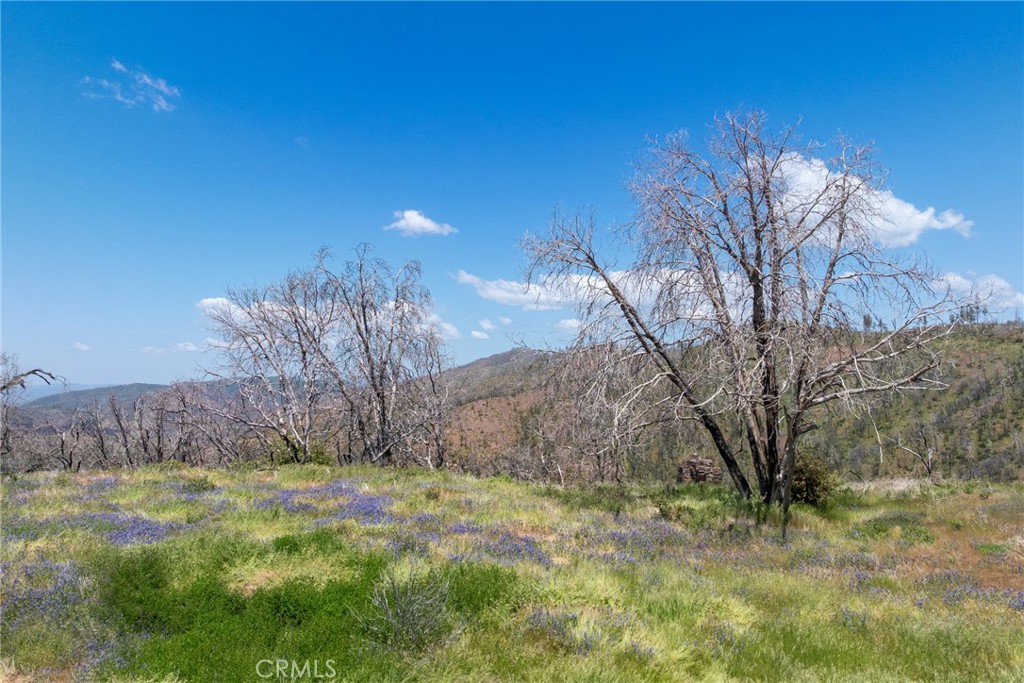 39 Acres Buckingham Mountain Road Property Photo 17