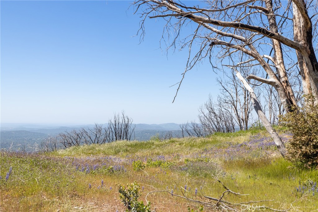 39 Acres Buckingham Mountain Road Property Photo 18