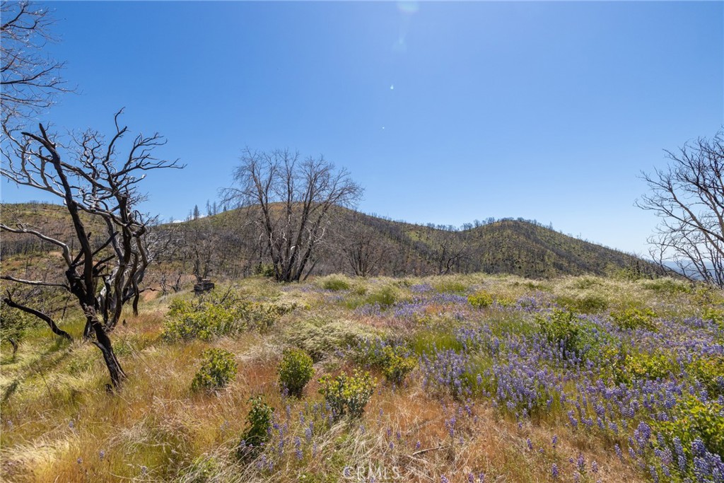 39 Acres Buckingham Mountain Road Property Photo 23