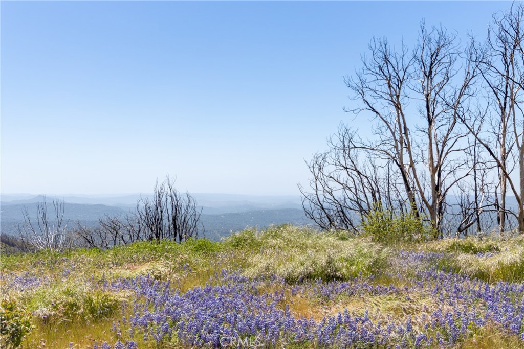 39 Acres Buckingham Mountain Road Property Photo 27