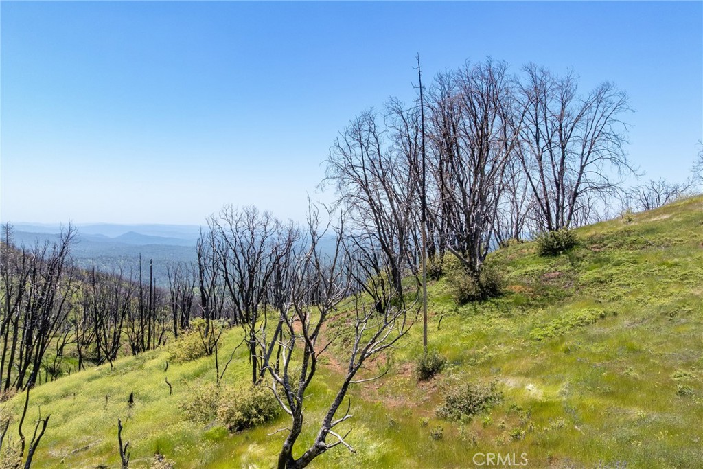 39 Acres Buckingham Mountain Road Property Photo 29