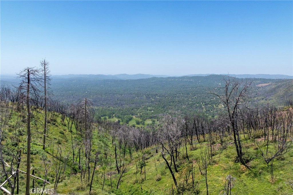 39 Acres Buckingham Mountain Road Property Photo 31